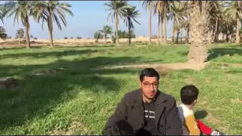 عامر الجراخ سورة التين مقام البيات