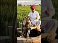 🚰 बिना बिजली खेत में पानी! किसान का कमाल 😲🌾 #shorts #viral #shorts