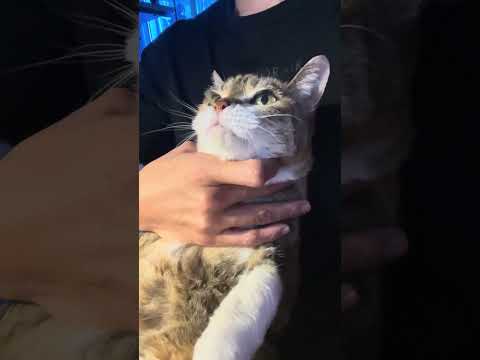 おはようございます#shorts