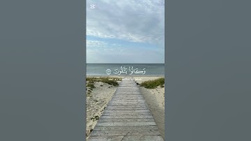 وَلَأَجْرُ الْآخِرَةِ خَيْرٌ لِّلَّذِينَ آمَنُوا وَكَانُوا يَتَّقُونَ - سورة يوسف