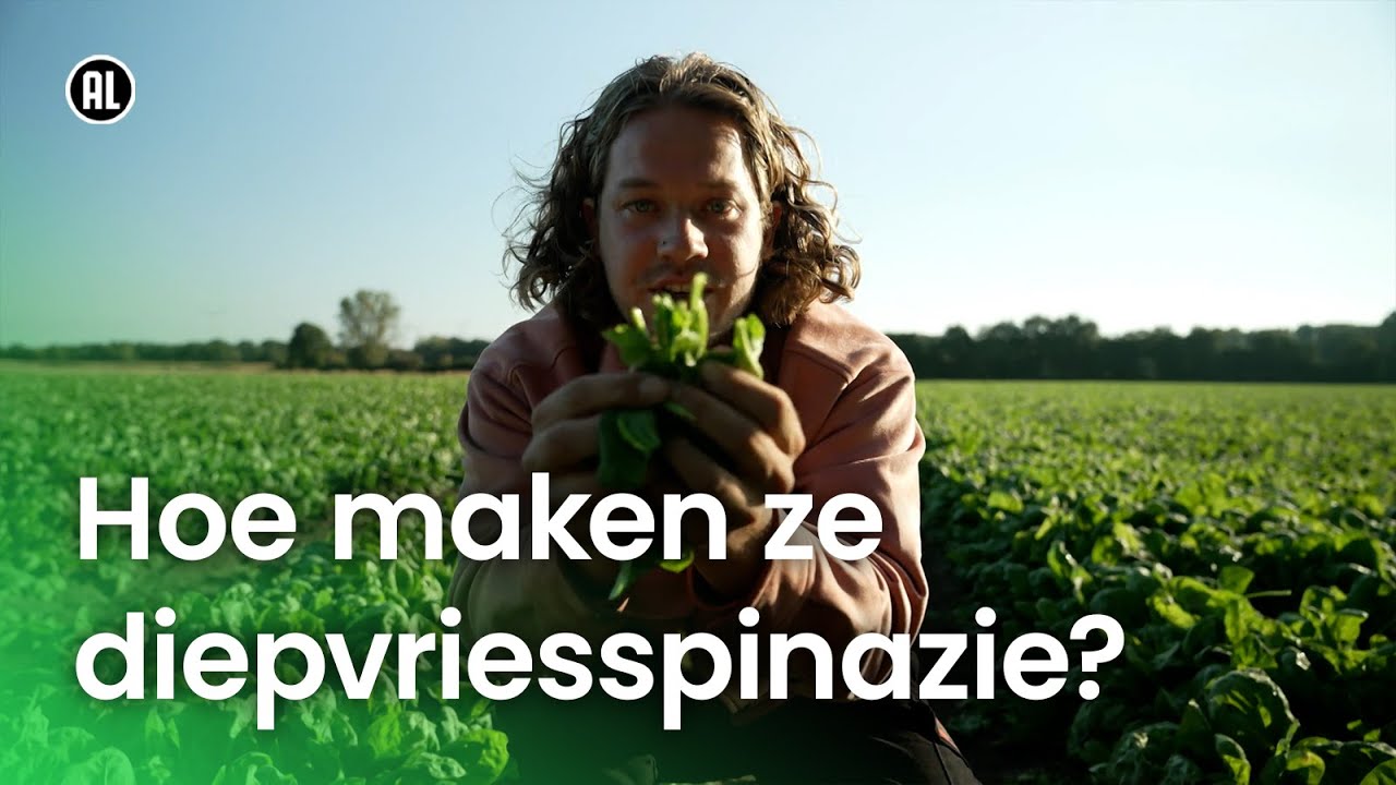 Diepvriesspinazie