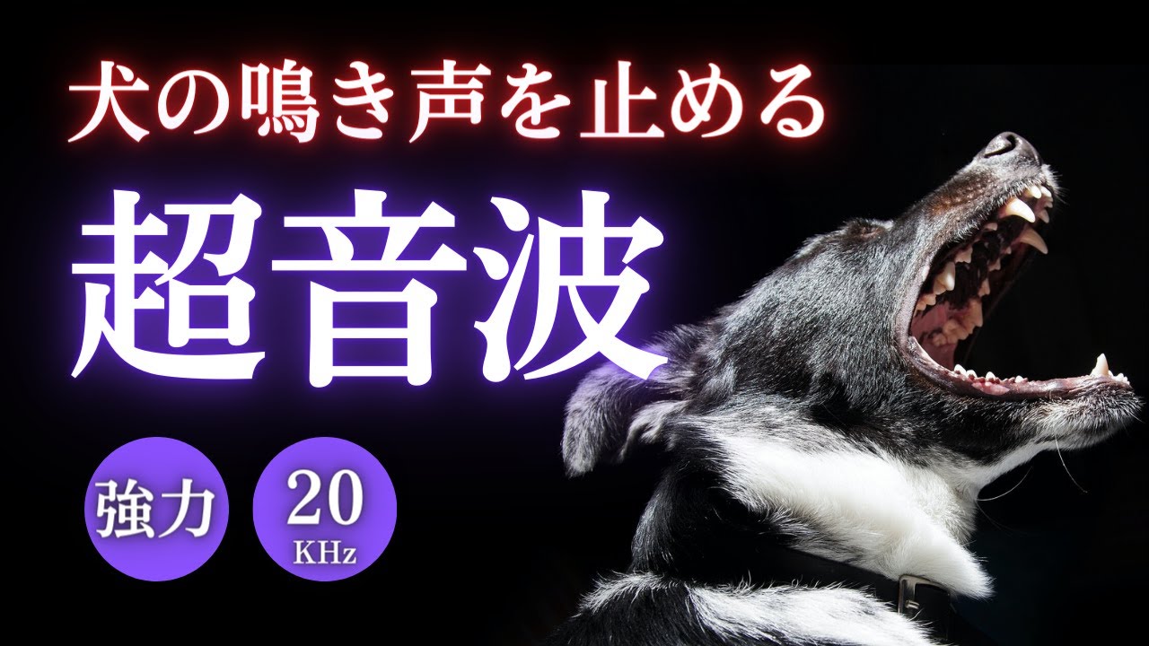 犬 が 怖がる 音
