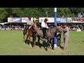 LAS ENCADENADAS Jineteadas de Caballos, Criollas #Criojas Gaucho Pampa