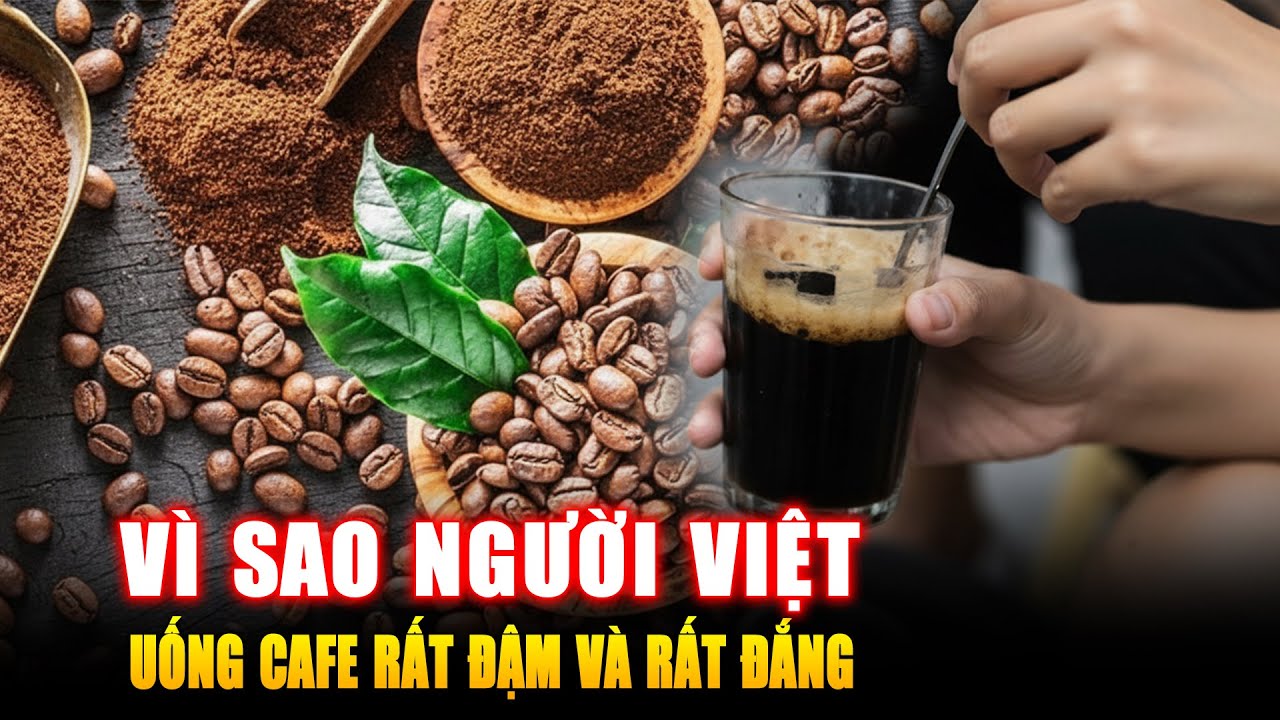VÌ SAO NGƯỜI VIỆT UỐNG CÀ PHÊ RẤT ĐẬM VÀ RẤT ĐẮNG ? Góc Kiến Thức