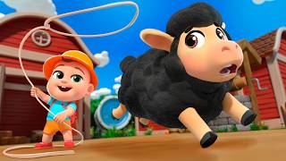 baa baa let s go catch sheep newborn baby songs nursery