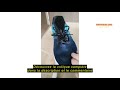 Avis sur la Hitmars Chaussures de Running Homme Basquette Femme Baskets et Chaussures de Sport March