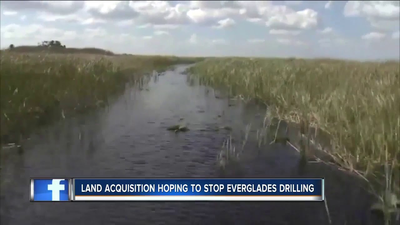 Florida to buy 20,000 acres of Everglades land to prevent oil drilling