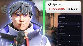 I Wanted to See How Valorant Triggerbot Works… So I Tried It
