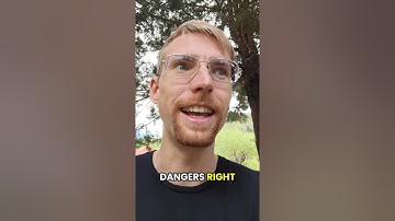 AGPL Explained: How I Avoided a $100k Open Source Licensing Mistake