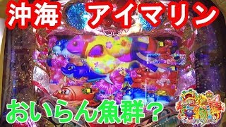 【大海物語 IN沖縄4withアイマリン③】沖甘ハイビスカスモードの魚が妙にべっぴん　実践39