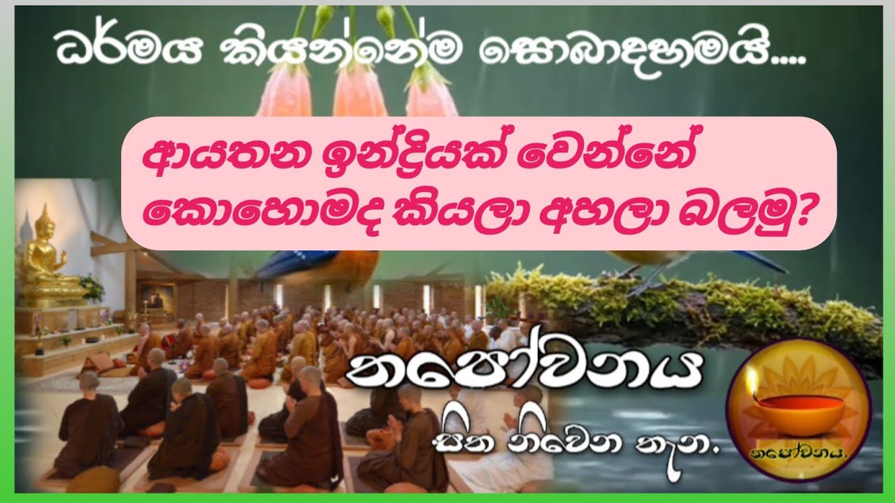 ඉන්ද්‍රිය ධර්ම නොවැටෙන්නේ නම් ඔහු මුලාවෙලා සසරක යන කෙනෙක්