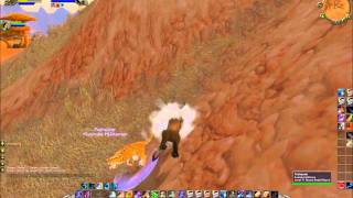 WoW Bear rapes a cheetah