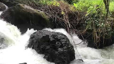 [Đã bán]Thác 9 tầng trong mùa mưa tại Thôn Cây Xoài thành phố Gia Nghĩa tỉnh Đắk Nông