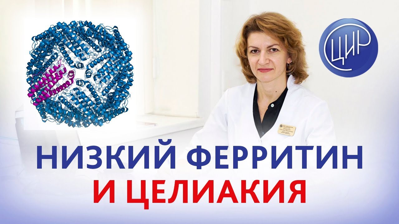 Низкий ферритин и бессимптомная целиакия. Клинический случай ...