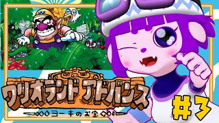 【ワリオランドアドバンス ヨーキのお宝 #3】帰路がわからない。【#ゲーミングハリネズミ】