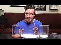 World's Deadliest Spider Bites! EP. 62 : 5 Weird Animal Facts