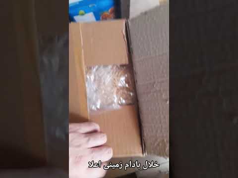 الو برگه پسته خلال   