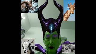 I am horny