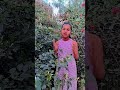 Japan lo arati pandunu#siri #reel #ytshort