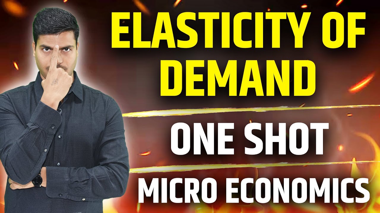 Elasticity of Demand | ONE SHOT REVISION & Numericals | Class 11 Final Exams 2025 | Micro Economics.