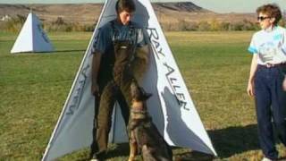 Schutzhund with Gottfried Dildei- Problem Solving in Protection (Deutsch)