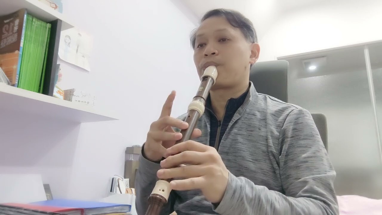 空と君のあいだに (一個人的我依然會微笑) (alto recorder cover)