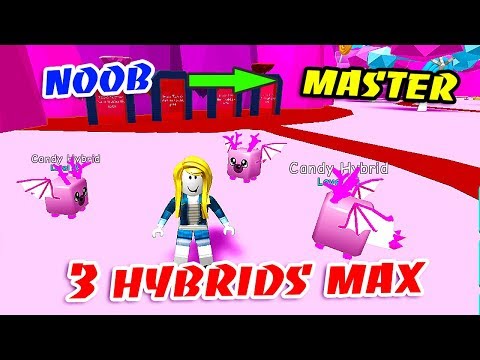 Roblox Update 4 0 Open 20 Tier 15 Eggs And Open Candy Area - i got 2 legendary candy pets fire horse rainbow bear backpack in wizard simulator roblox