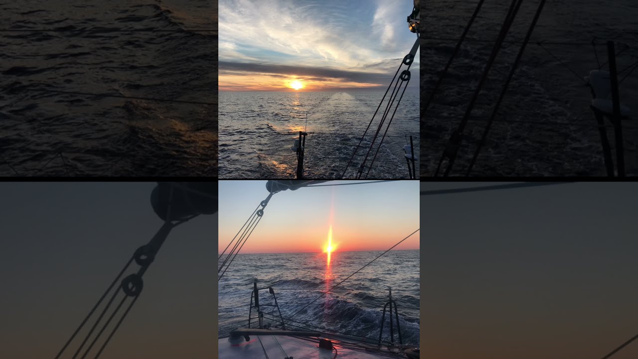 Mare d'oro   ⭐️