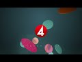 Flexkontor skapar stress hos personalen - Nyheterna (TV4)