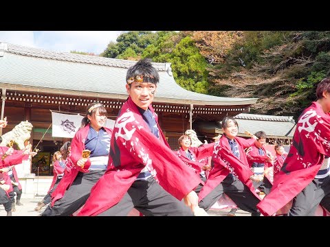 [4K]香川大学よさこい連“風華”　龍馬よさこい2017 2日目 龍馬演舞場(中央)
