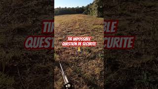 Petit Sanglier Avec Une Magnifique Menée