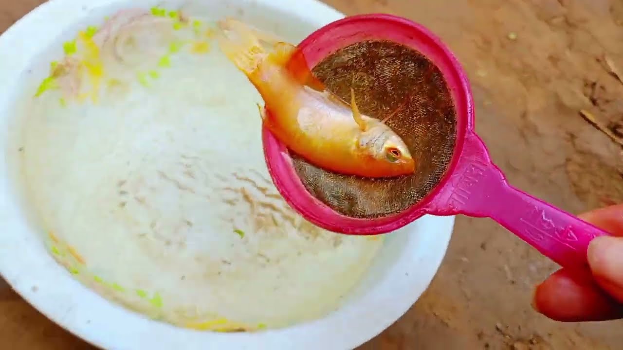 Ловите красивых аквариумных рыбок в небольшом пруду: маленьких черепашек, угрей, красных карпов, ...