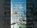 Don't forget to like and subscribe. Jesus is Lord!
