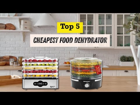 Best Cheapest Food Dehydrator on a Budget Honest Review