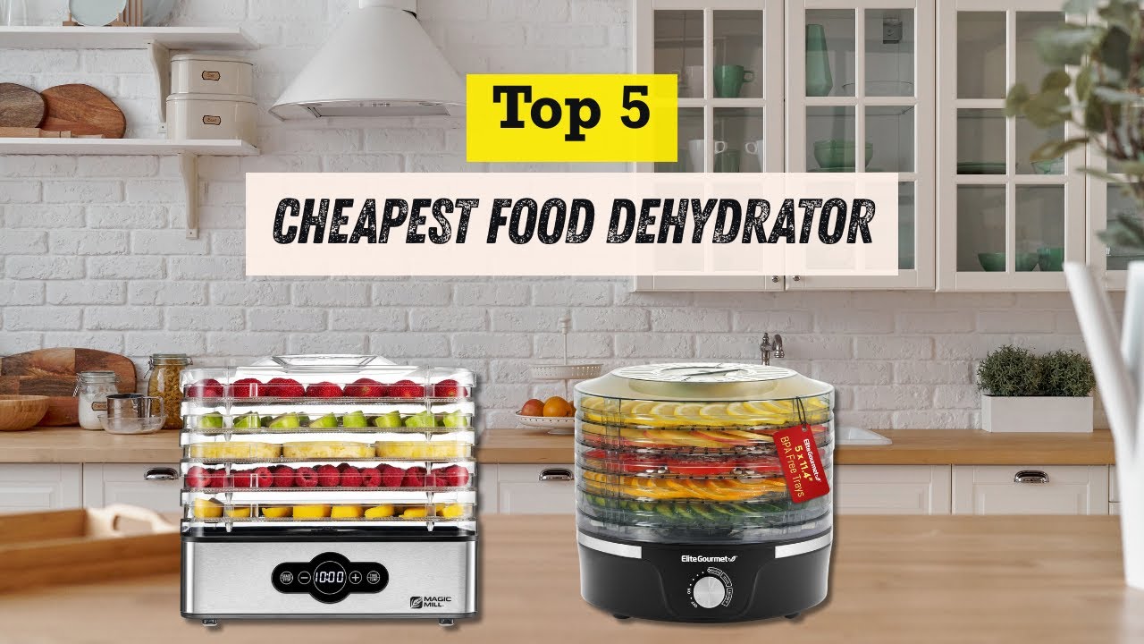Best Cheapest Food Dehydrator on a Budget | Honest Review