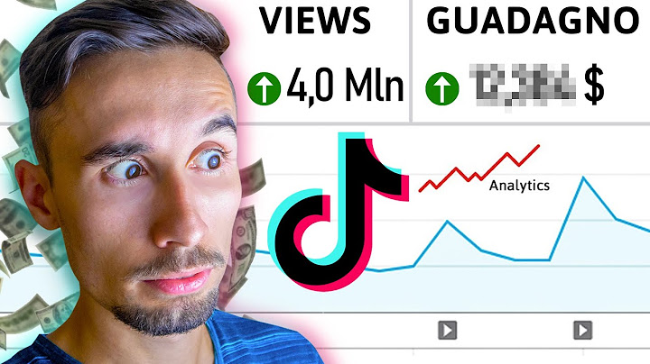 QUANTO SI GUADAGNA CON 4 MILIONI DI VIEWS SU TIK TOK?