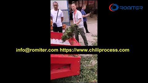 Automatic Fresh Hot Chili Pepper Cleaning and Sorting Machine
