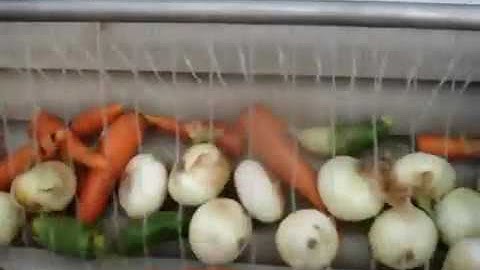 Máy rửa củ gừng, củ nghệ,cà rốt, máy rửa khoai tây, củ hành tự động CX100 150