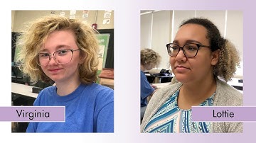 Wait-Time: High School Example & Non-Example