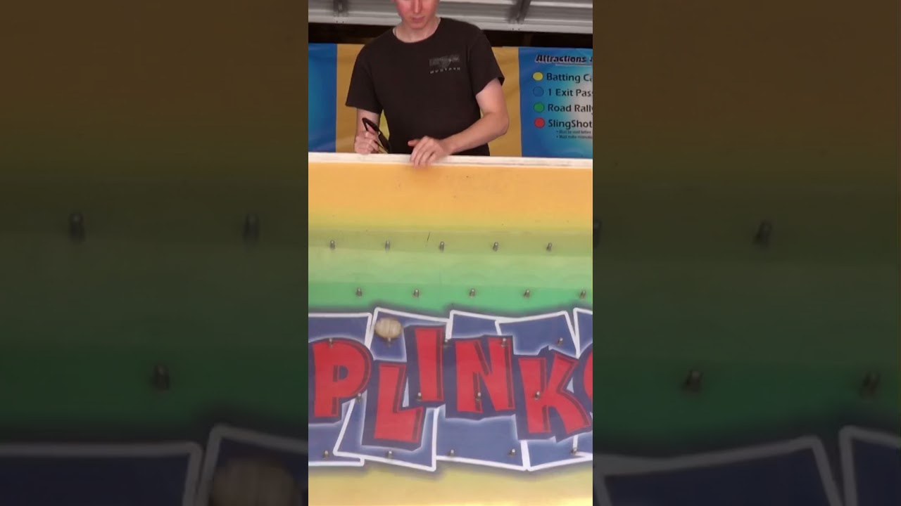 I Won the Plinko Carnival Game at Six Flags!!