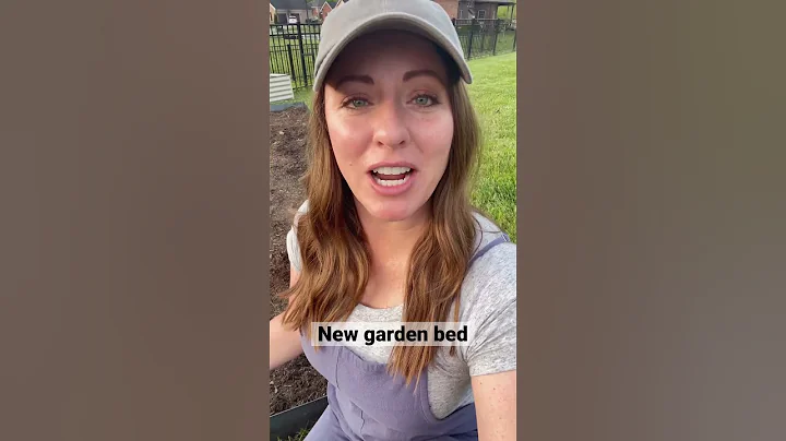 How we made a new garden bed #gardening