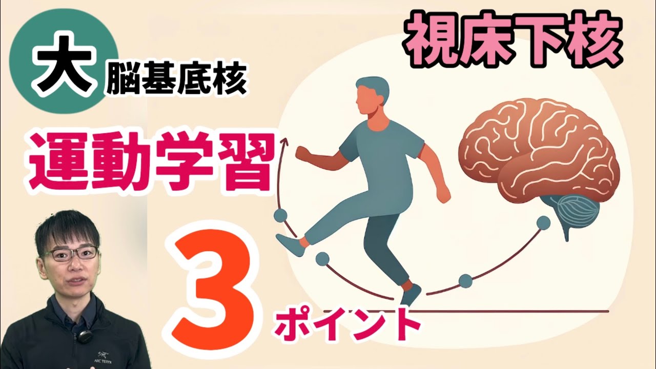 2025年版】視床下核の役割と場所は？パーキンソン病における脳深部刺激