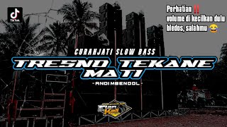 DJ TRESNO TEKANE MATI - Awas JEBOL ‼️ Curahjati Slow Bass | Dak Duk Glerr Remix Terbaru