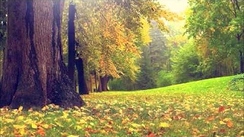 سورة الانسان / الشيخ بن شعبان توفيق الجزائري