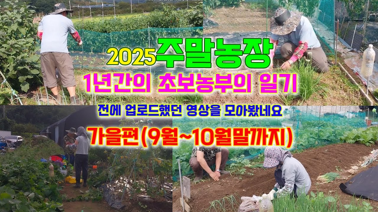 주말농장~2025가을시즌(9월~10월말)모음영상입니다.