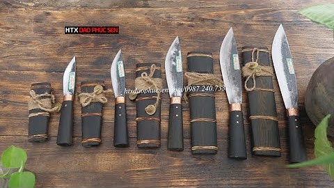 🔥FULL BỘ MÈO MUN HUYỀN THOẠI - HÀNG CHUẨN CỦA HTX #DAOPHUCSEN🔥