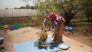 Producing Quality Seed - Uzalishaji Mbegu Bora Za Mboga