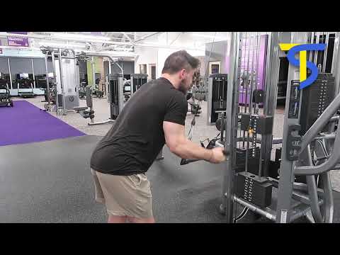 Cable EZ Bar Reverse Grip Tricep Extension