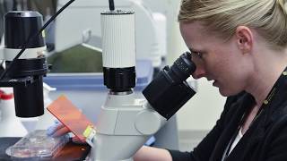 CU Denver Bioengineering: What is Bioengineering?