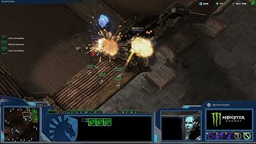 When they just cant stay away from your widow mines..